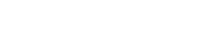 DHNN